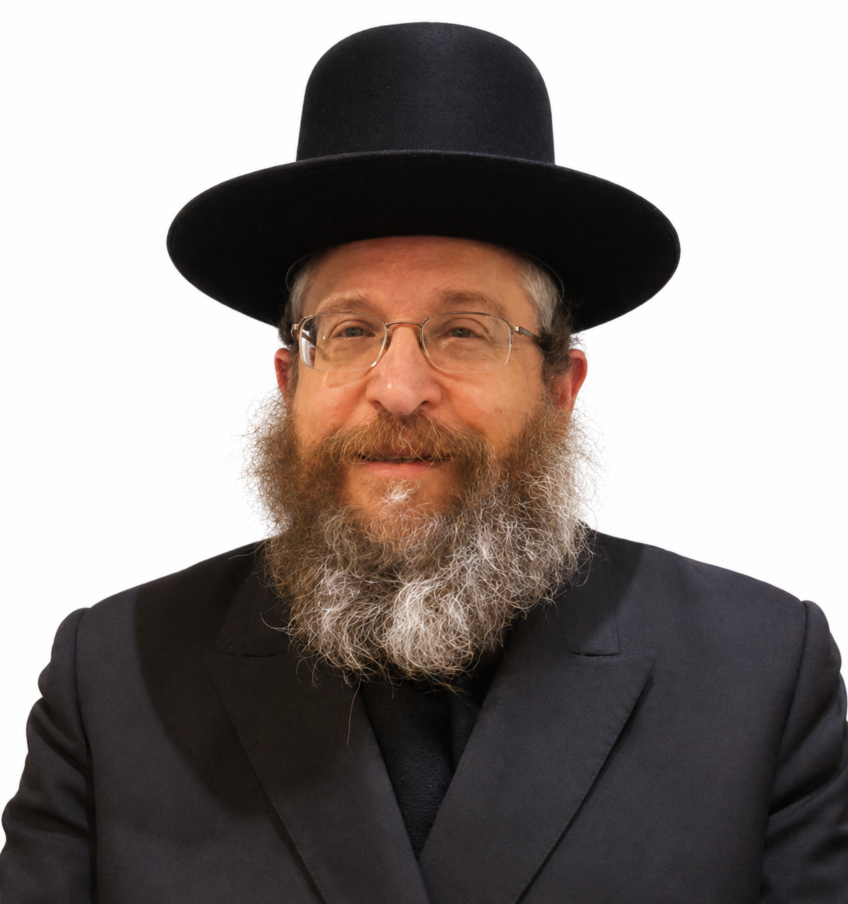 Rabbi Fishel Schachter
